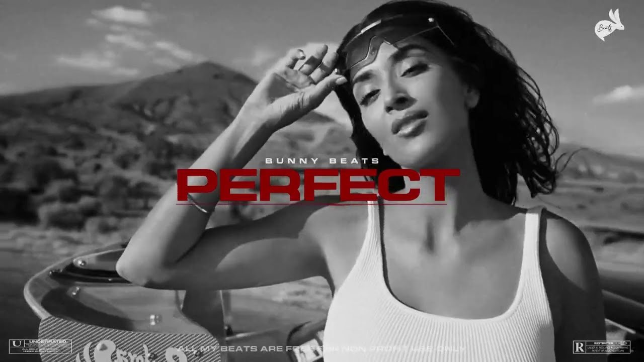 GUR SIDHU TYPE BEAT - "PERFECT" Freestyle Hip Hop Type Beat Instrumental | Punjabi Hip Hop Type Beat