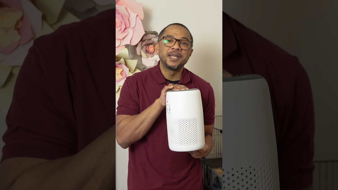 My Air Purifier Was Losing to a Guinea Pig Until…