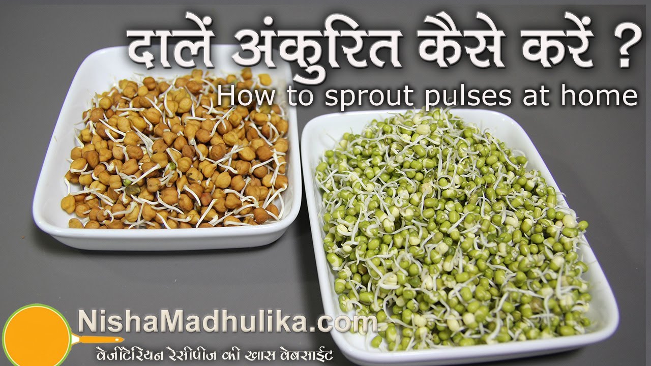 How to Sprout pulses at home |  |  दालों को अंकुरित  करें । How to Sprout Lentils | Nisha Madhulika | TedhiKheer