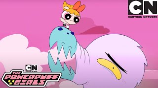 Monster Island Mayhem | Powerpuff Girls Compilation | Cartoon Network