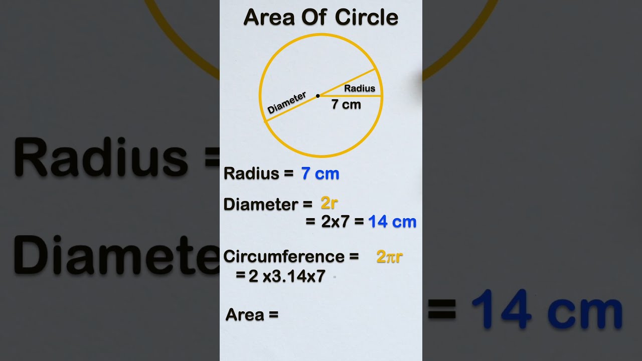 Find area, circumference & diameter of circle | #shorts #circle