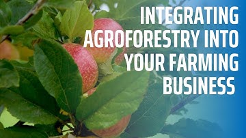 Integrating Agroforestry into your Farming Business