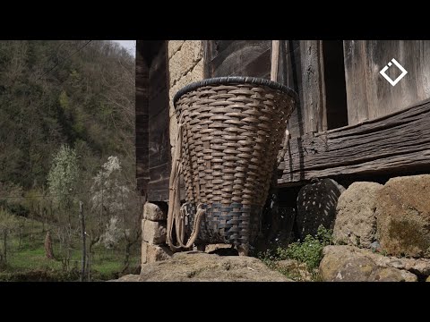 ქედა, სოფელი ოქტომბერი | ერთი დღე სოფელში | 06.05.2023