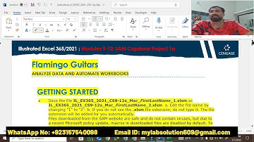 Illustrated Excel 365/2021 | Modules 9-12: SAM Capstone Project 1a | Flamingo Guitars | Excel 365