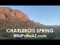 Charlebois backpack superstition wilderness arizona