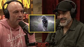 Joe Rogan and Dave Attell get to the bottom of finding a werewolf dog, calls in Bryan Callen
