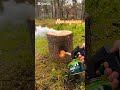 DIY  camping BBQ Build 🔧 easy &amp; Satisfying#camping #engineering #diy #forest #eood #campingstoves