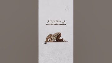 تلاوة تريح القلب#تلاوات_خاشعة  #عبدالرحمن_مسعد #حالات_واتساب_دينية#راحة_نفسية #قران_كريم #قرآن 🍃❤