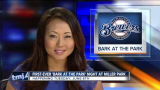 Milwaukee Brewers to host Miller Park's first-ever 'Bark at the Park' night next week