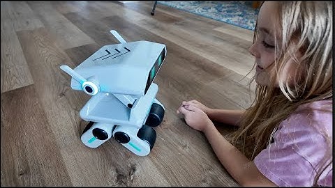 X-Origin Yonbo AI Companion Robot!