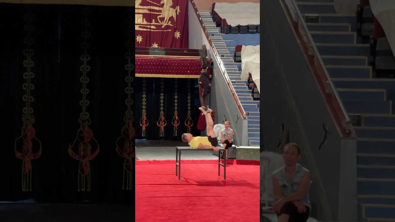 Ты Не Поверишь Что Эта Обезьяна Умеет Делать!