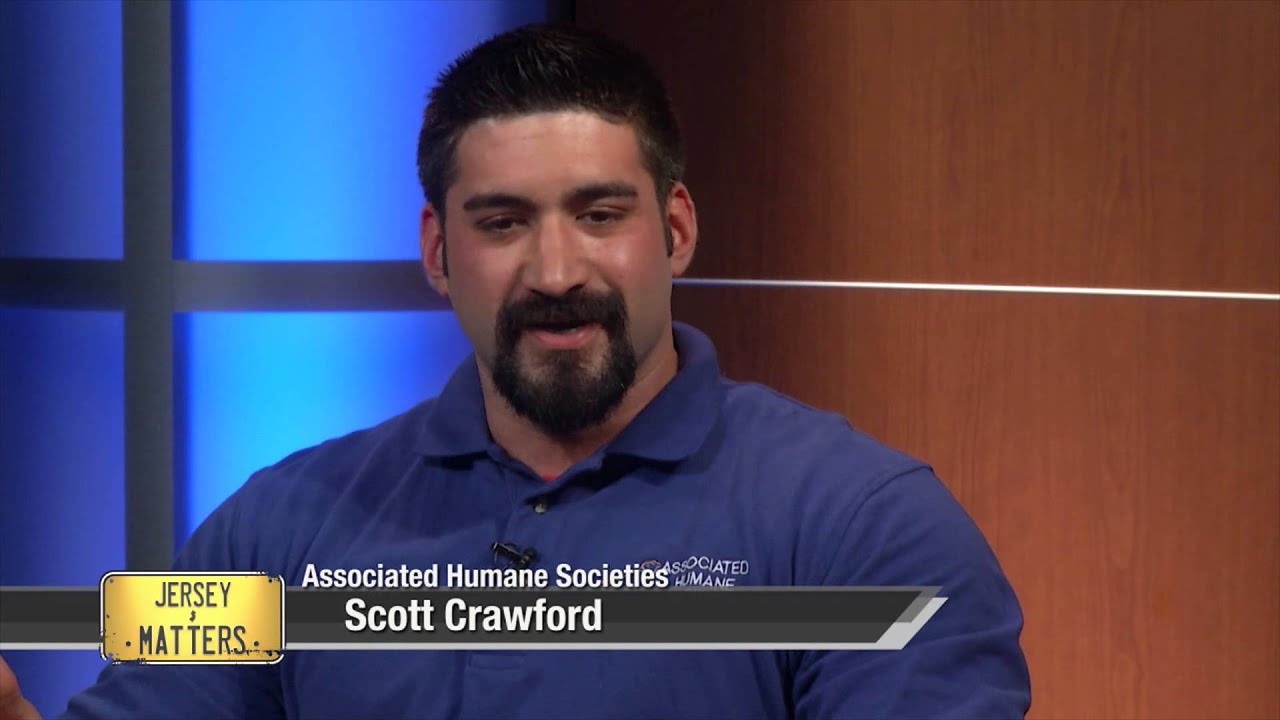 Jersey Matters Associated Humane Society