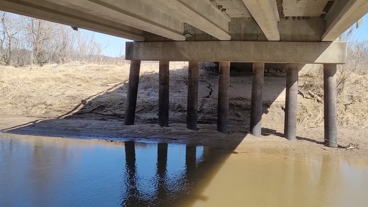 I definitely didn't hurt the raccoon population!!