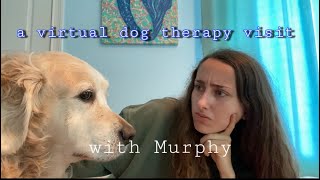 A Virtual Dog Therapy Visit