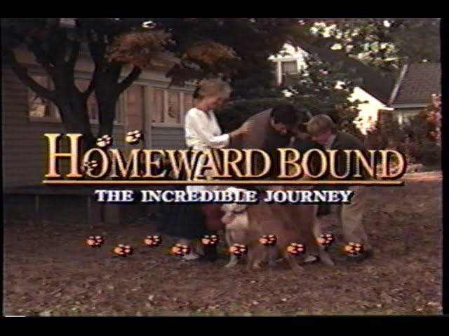 homeward bound the incredible journey 1993