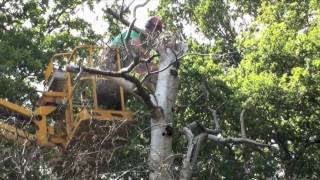 ND ARB 09 --- Cherry Picker Antics With Team 2