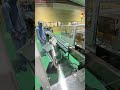 Automatic cartoning machine and case packing machine#manufacturing