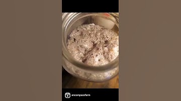 DIY Garden Fertility: Water Soluble Calcium from  Eggshells!