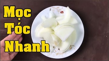 Cách trị rụng tóc, kích thích mọc tóc nhanh, dày và chắc khỏe chỉ với nửa củ hành tây_Mẹo làm đẹp