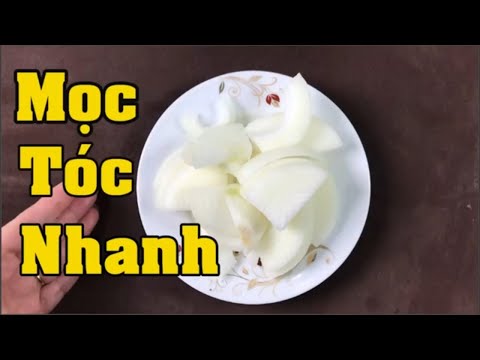 Cách trị rụng tóc, kích thích mọc tóc nhanh, dày và chắc khỏe chỉ với nửa củ hành tây_Mẹo làm đẹp