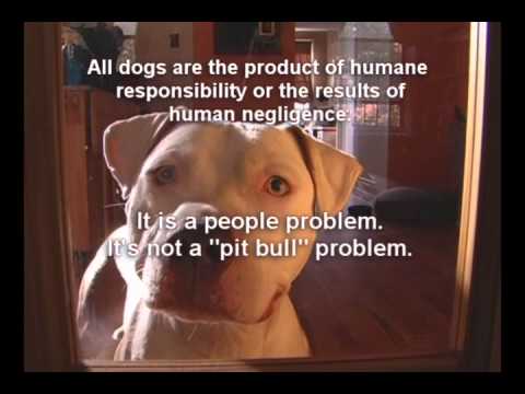 The Pit Bull Hoax DVD