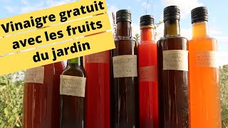 🍑🍏🍇🍐VINAIGRE GRATUIT AVEC LES FRUITS DU JARDIN🍑🍏🍇🍐