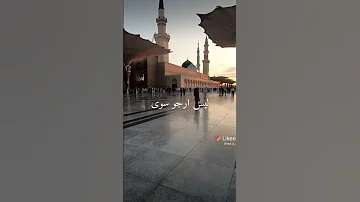 حن قلبي له حالات واتس 