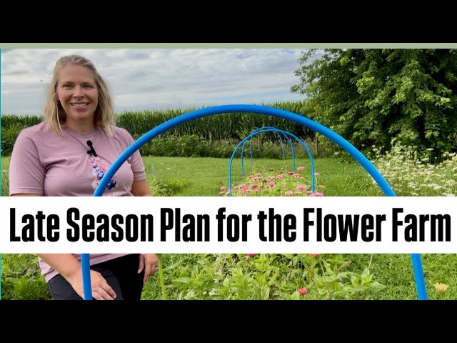 Late Season Succession Plan + Flower Farm Tour : Zone 5 : cut flowers : profitable flowers