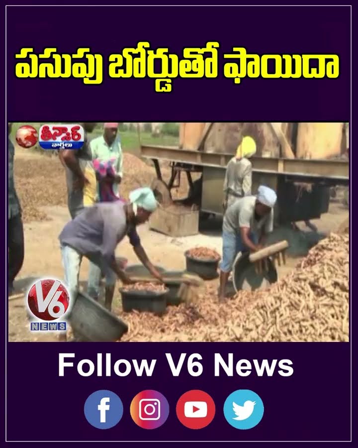 Years of Dream Come True  MP Arvind Felicitated Piyush Goyal With Turmeric Horns | V6 Teenmaar