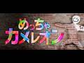 流行りに乗っかって「めちゃカメレオン!」MECCHA CHAMELEONやってみよー