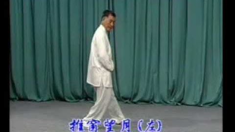 程式八卦掌教学视频 在线收看