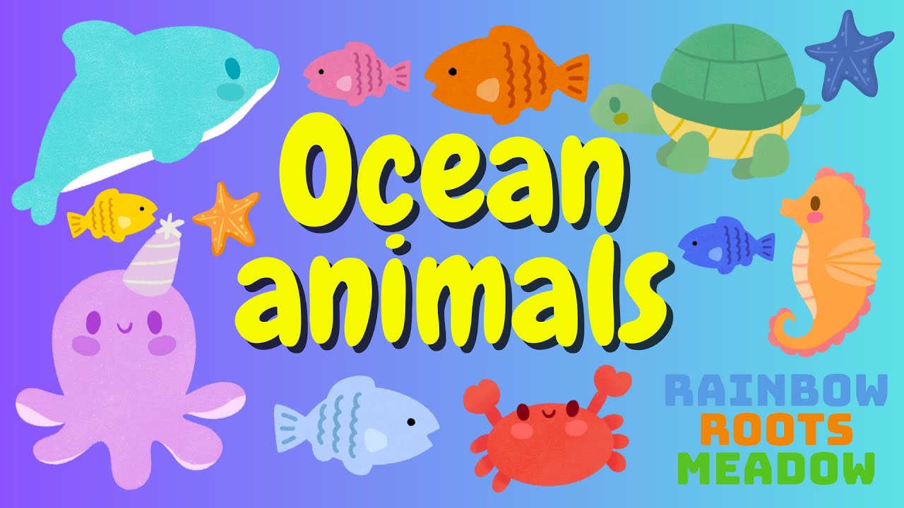 Ocean Animals - Whale, Dolphin, Octopus! | Interactive Learning | Rainbow Roots Meadow