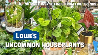 Carnivorous Plants at Lowe’s (Plus Clearance Haul & Propagation)