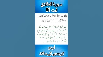Surah al talaq|surat al talaq|quran|islamic|Ayat|سورة الطلاق