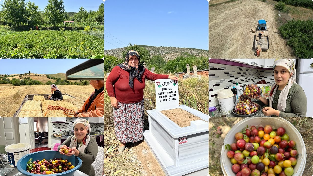 Bahçede son durum saman balyası Erik topladık öğlen yemeği