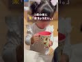 ⭐️Amazon🔍バーで【B0FBGFDJR3】を検索!11/21(金) -12/1(月) ⭐️楽天限定クーポン:https://bit.ly/4r6lFXW有効期間 :11/18 ~ 12/17