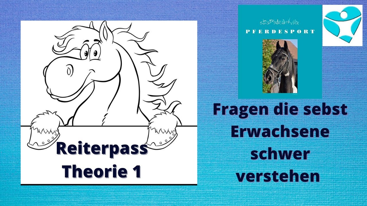 Theoriefragen 1 Reiterpass📘 "Fragen die Erwachsene auch schwer