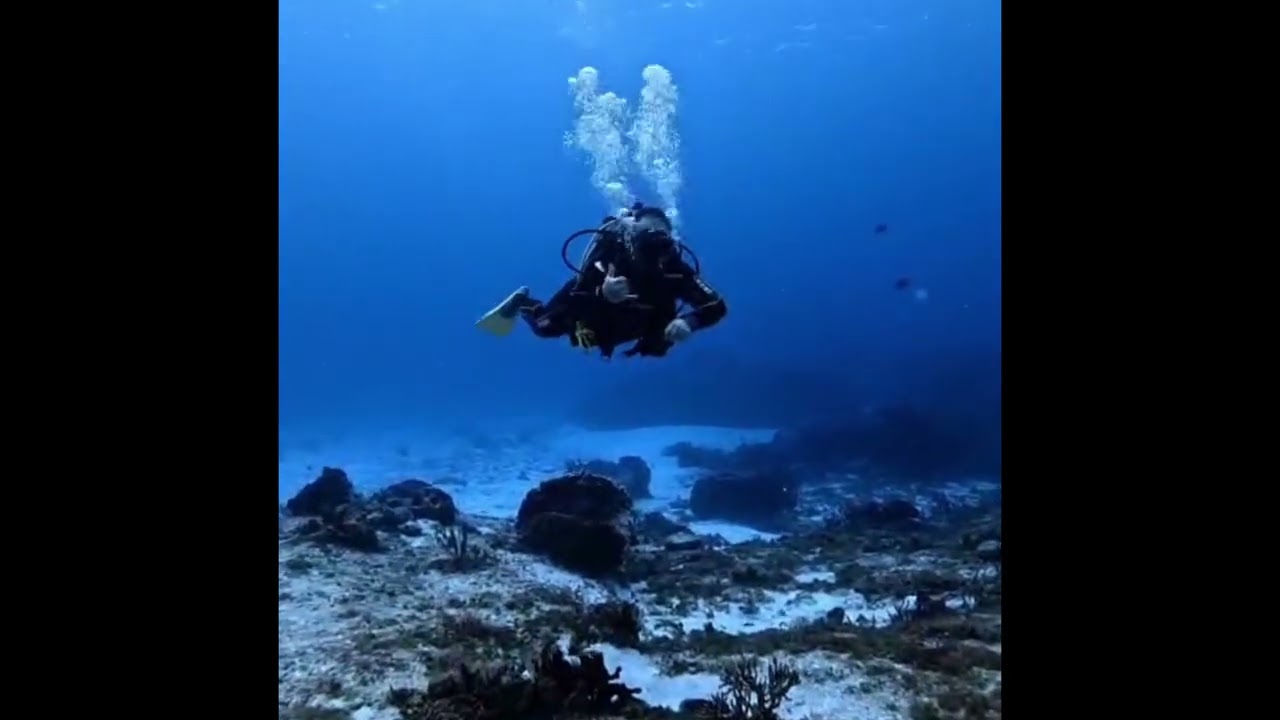 2025 Cancun Area Dive