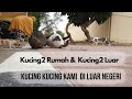 Daily vlog indonesian in abu dhabi  kucing kucing kami di abu dhabi  rutinitas di pagi hari