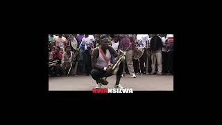 Zulu Warrior - Khwishi (South Africa) Resimi