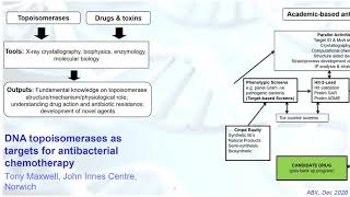 Professor Tony Maxwell - John Innes Centre