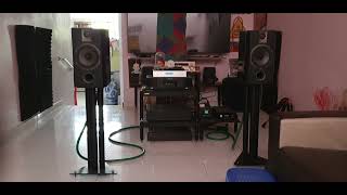 PHAROS (only love)FOCAL CHORUS 706