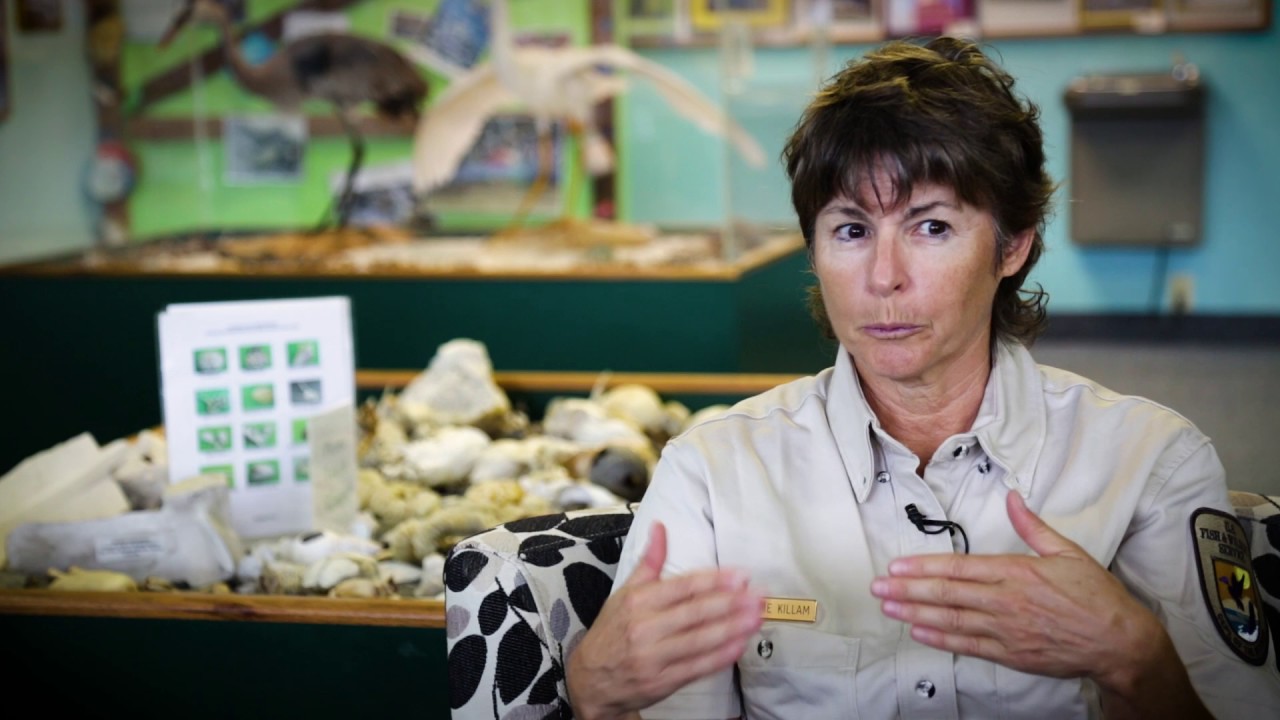 Key Deer: Florida Screwworm Outbreak UPDATE