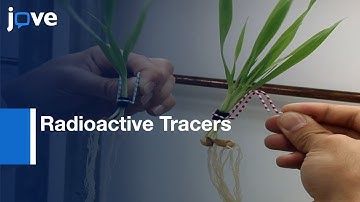 Fluxes of Nutrients and Toxicants Analysis by Radioactive Tracers | Protocol Preview