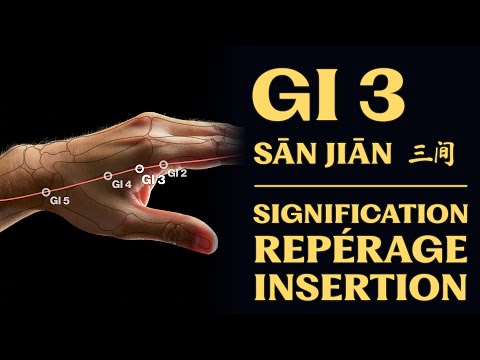 Acupuncture point: LI 3 (sān jiān 三间) meaning, location, insertion