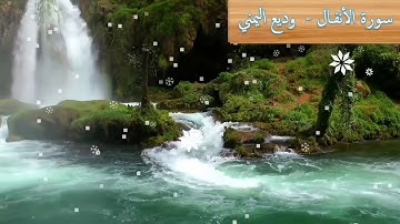 008 سورة الأنفال   وديع اليمني تلاوة خاشعة مع صوت ملائكي