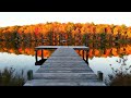 Celtic Medieval Tavern Music – Lively Medieval Folk and Bard Instrumental Playlist