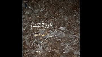 Holy Quran urdu Translation سورة النساء best Quran #short_video_status_ #zaheeraligill