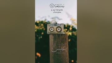محمد سليمان الكردي /سورة عبس / ما شاء الله....