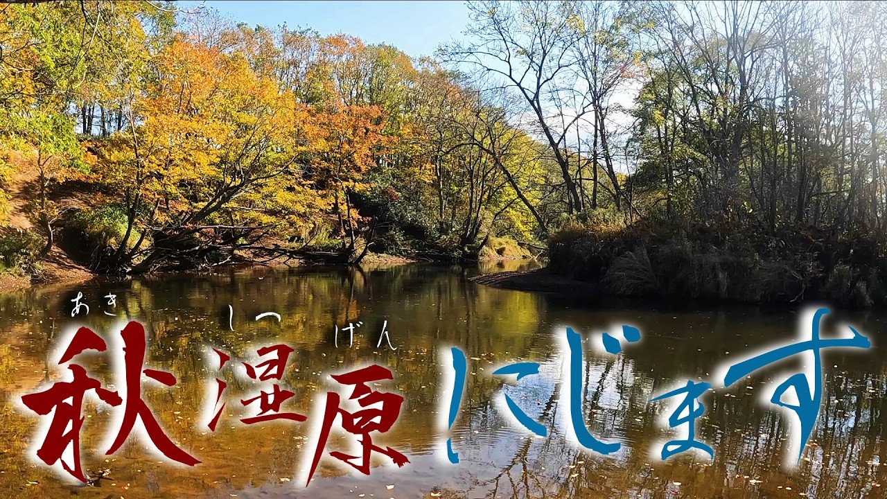 湿原河川にもニジマスがいる！？まさかの大物！しかもやっぱりあのルアーだった